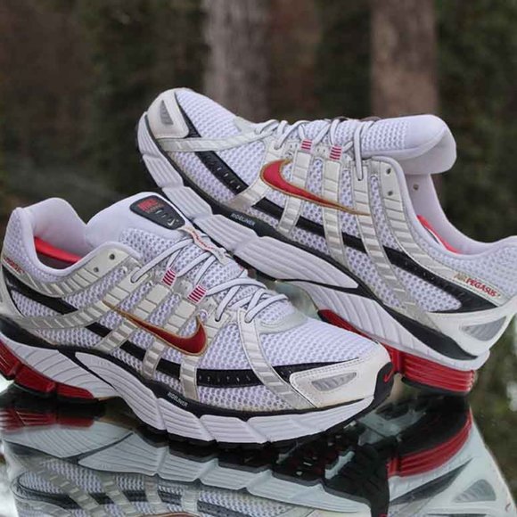 Nike Air Pegasus 2007+ Bowerman - Picture 8 of 14